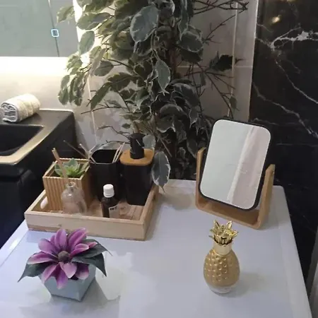 A Avec Balcon Et Climatisation 47 M²